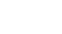 The Fox