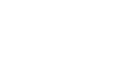 The Fox